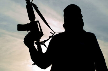 The Lone-Wolf Terror Trap Image